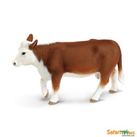 Hereford Cow
