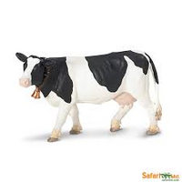 Holstein Cow
