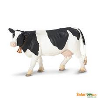 Holstein Cow