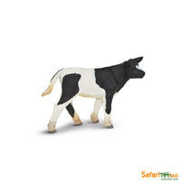 Holstein Calf
