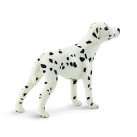 Dalmation