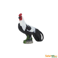 Phoenix Rooster
