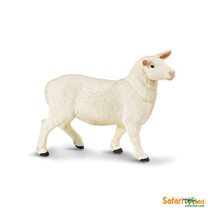 Ewe
