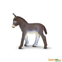 Donkey Foal
