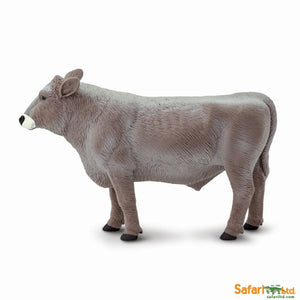 Brown Swiss Bull
