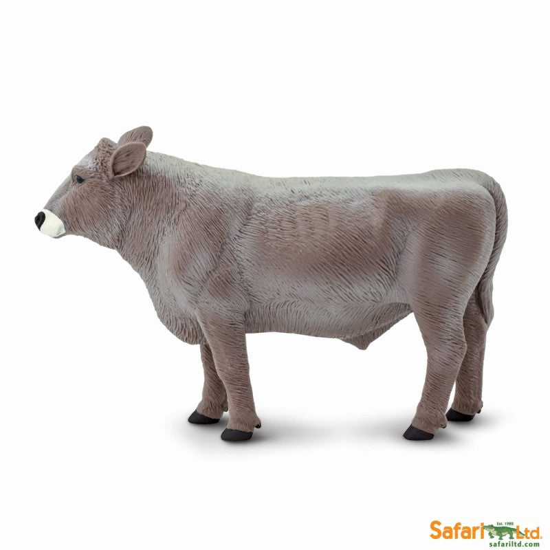 Brown Swiss Bull