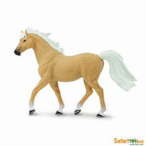 Palomino Mustang Stallion