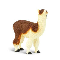 Alpaca
