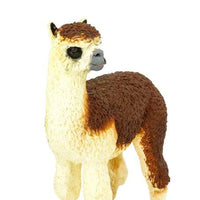 Alpaca
