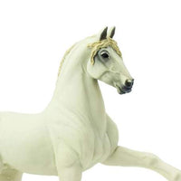 Andalusian Stallion