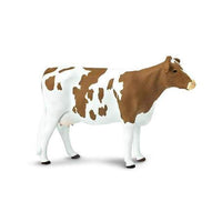 Ayrshire Cow
