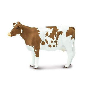 Ayrshire Cow