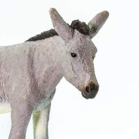 Donkey