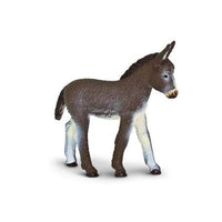 Donkey Foal
