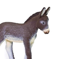 Donkey Foal
