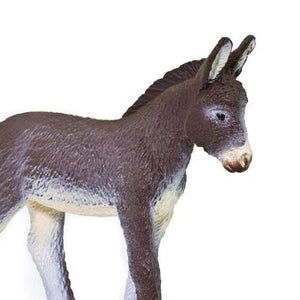 Donkey Foal