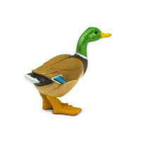 Duck
