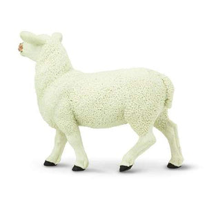 Ewe