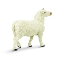 Ewe
