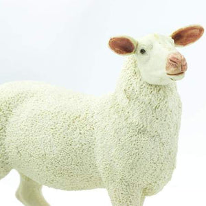 Ewe