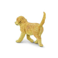 Golden Retriever Puppy
