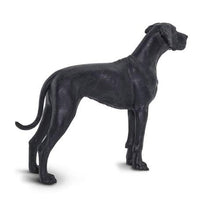 Great Dane

