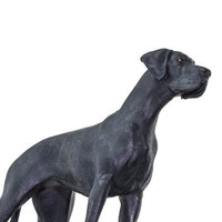 Great Dane