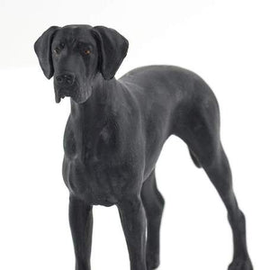 Great Dane