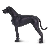 Great Dane
