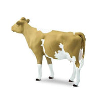 Guernsey Cow
