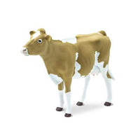 Guernsey Cow
