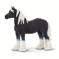 Gypsy Vanner Stallion