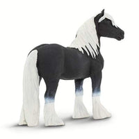 Gypsy Vanner Stallion