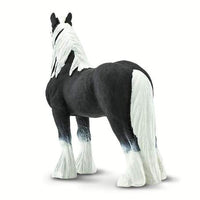 Gypsy Vanner Stallion