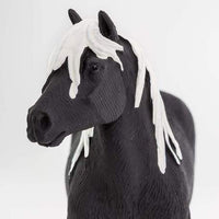 Gypsy Vanner Stallion