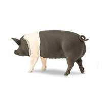Hampshire Pig
