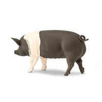Hampshire Pig