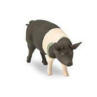 Hampshire Pig
