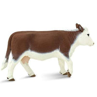 Hereford Cow
