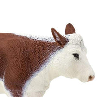 Hereford Cow
