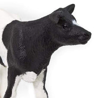 Holstein Calf
