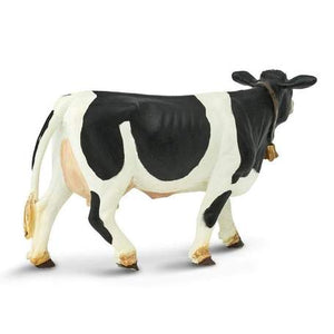 Holstein Cow