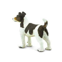 Jack Russell Terrier
