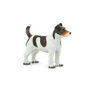 Jack Russell Terrier
