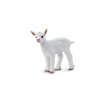 Kid Goat
