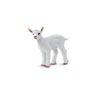 Kid Goat
