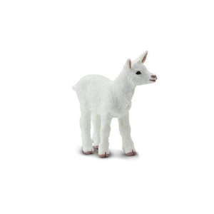 Kid Goat