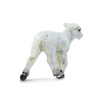 Lamb
