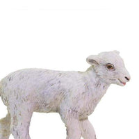 Lamb
