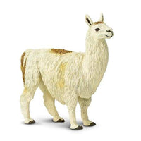 Llama